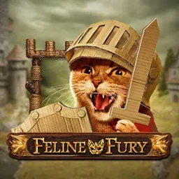 Feline Fury